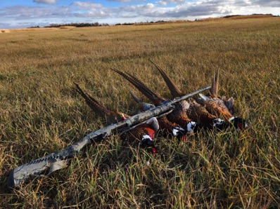 12 Gauge Lodge